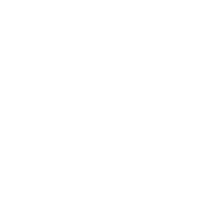 audi 02.webp