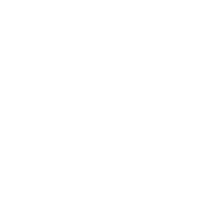 porsche 02