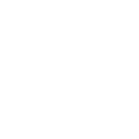 vw 02